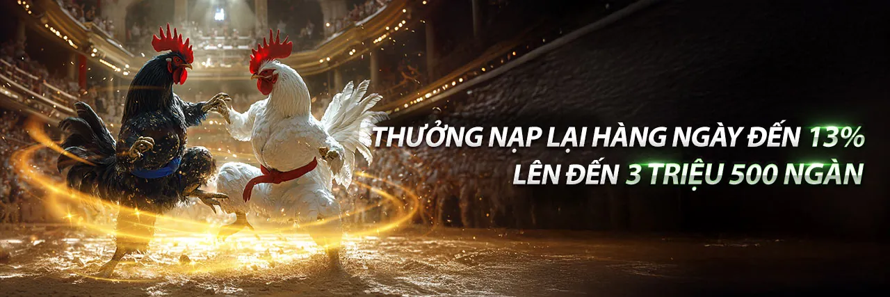 Đá gà Thomo ngày 11 tháng 05